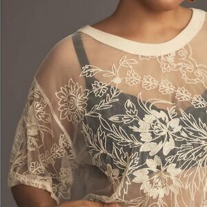 Anthropologie Fairy Dainty Whimsical Ethereal Boho Embroidered Sheer Mesh Top S